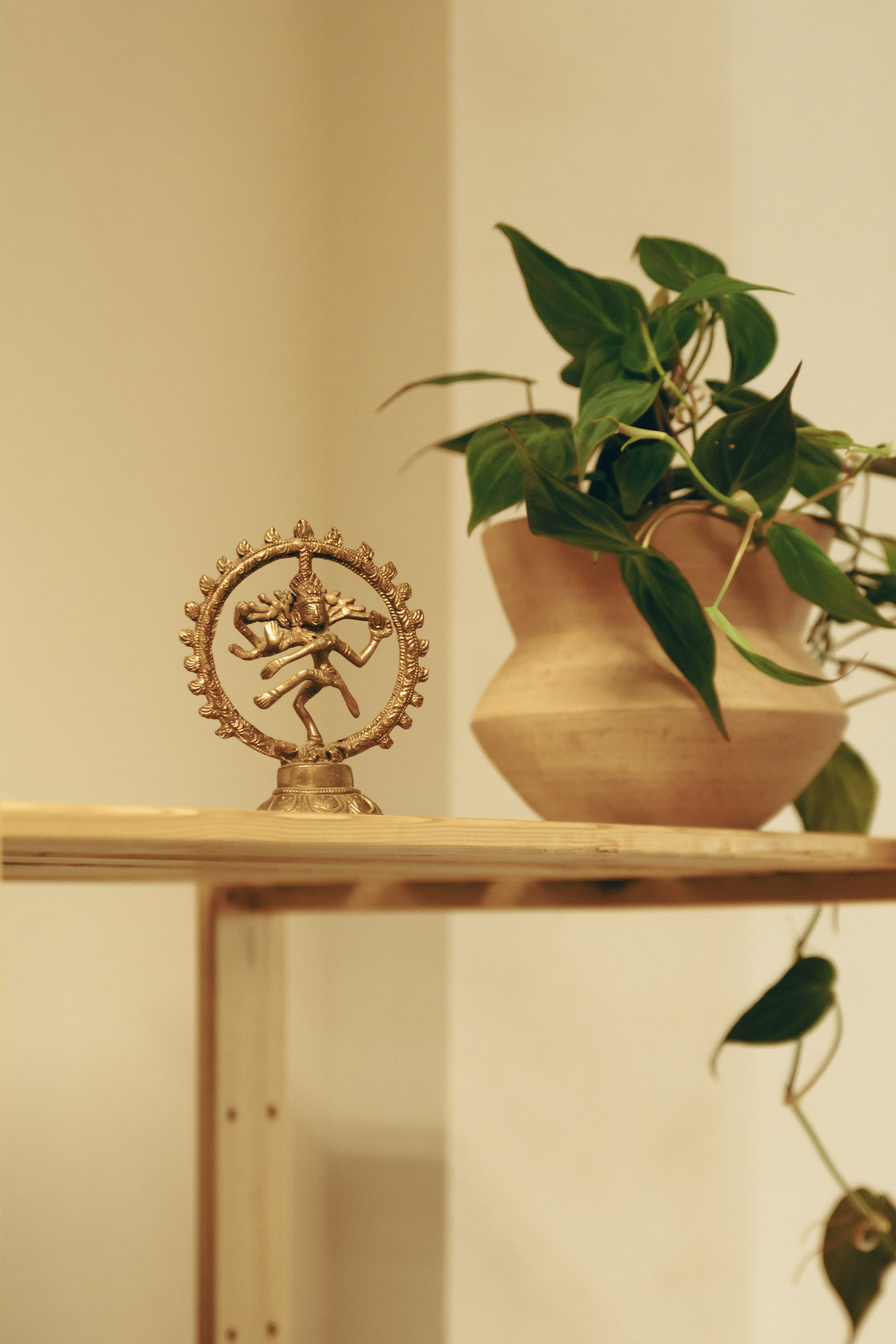 Detalle del estudio